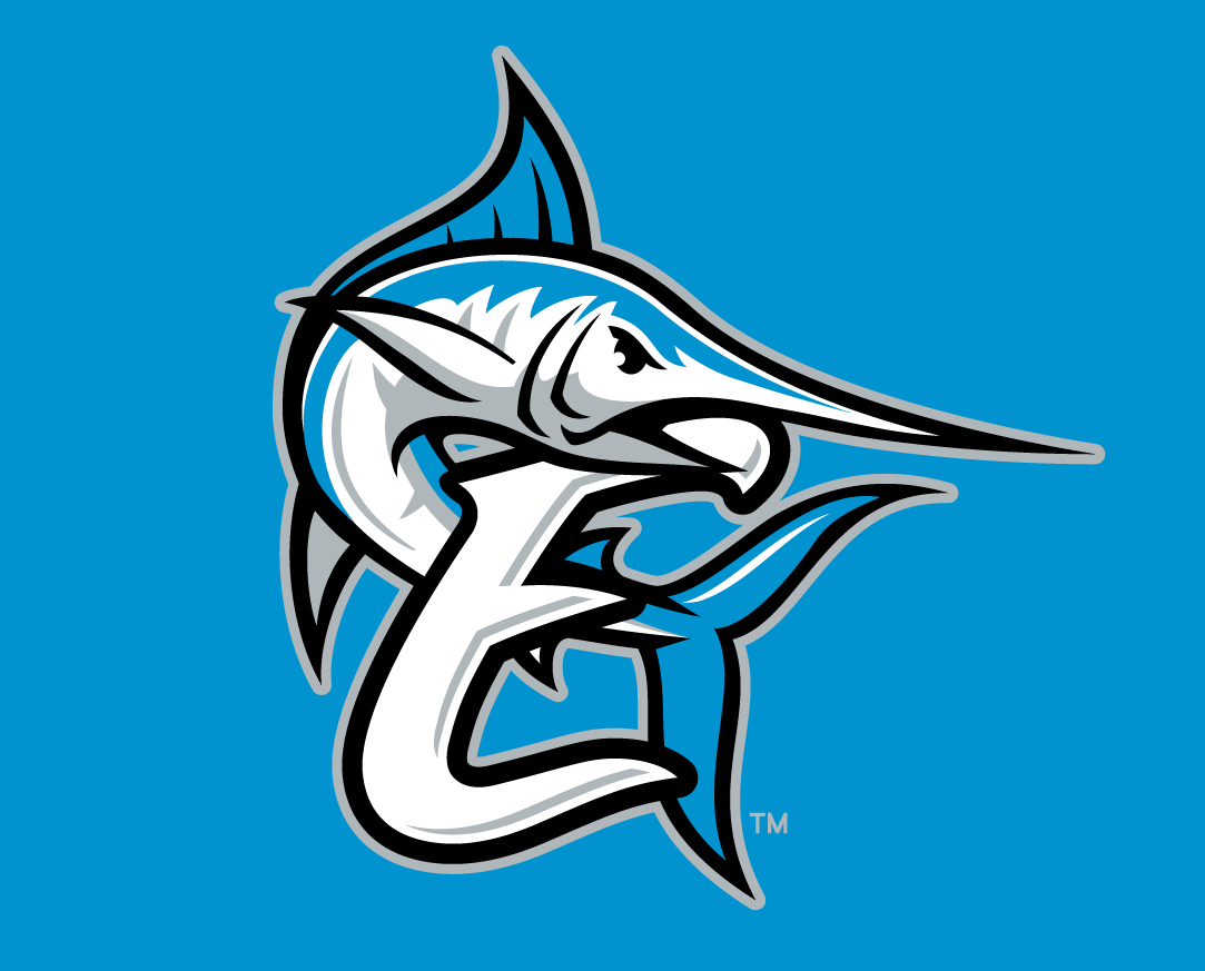 Coastal Plain League All-Star Game 2014 Cap Logo v2 iron on transfers for clothing